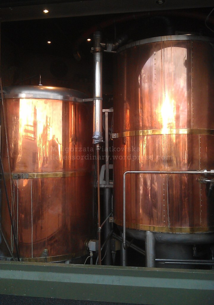 Messrs Maguire's pub, Burgh Quay