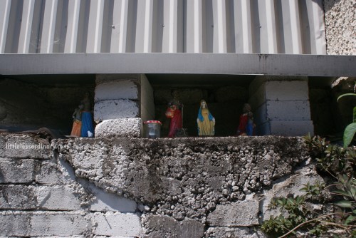 Dublin food co-op, The Coombe, Dublin 8