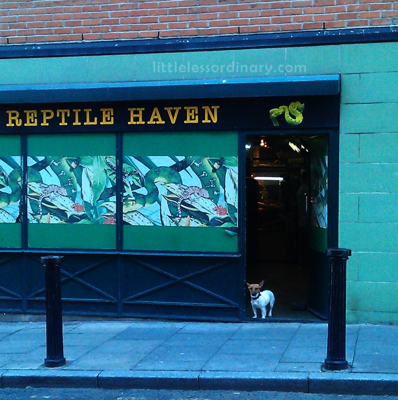 Fishamble street, D8